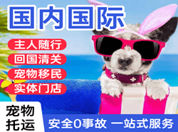 蓬莱空运地址国际宠物托运 【国
